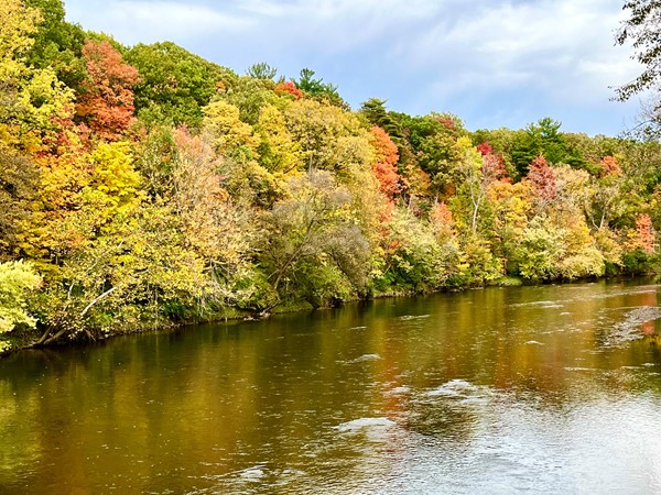 Flushing offers the most beautiful walking trails along the Flint River