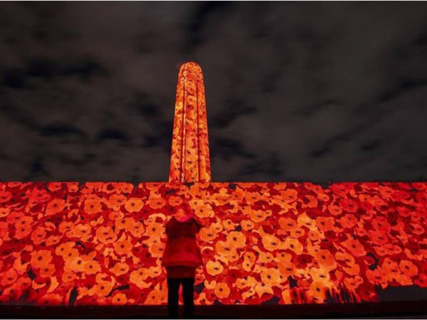 Giant poppies light up Liberty Memorial for WWI centennial ... just amazing