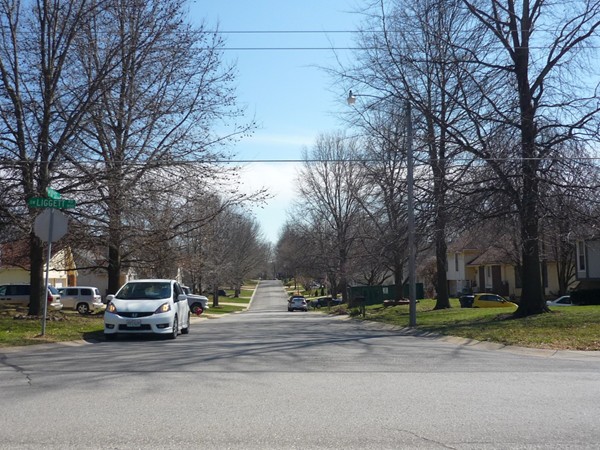 Southwest 10th Street from Southwest Liggett Road in Country Springs