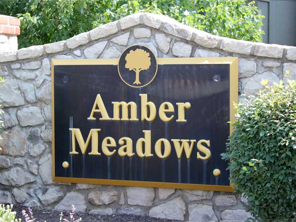 Amber Meadows: Homes from $150K - $350K. 