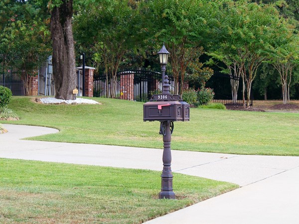 Brushy Bayou's unique Fleur-de-Lis mailboxes give a nice touch to the subdivision 