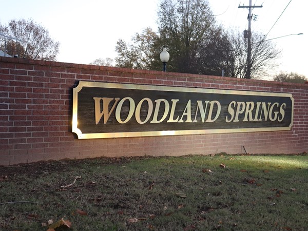 Woodland Springs is a beautiful subdivision centrally located in Conway