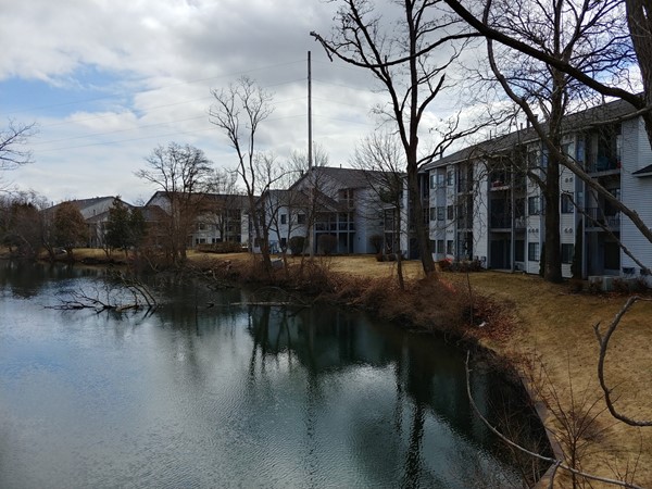 Riverine Condominiums offer Boardman River frontage and a short walk to shops, restaurants 