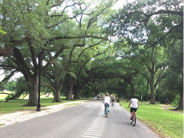 Scenic bike trail in Audubon Park