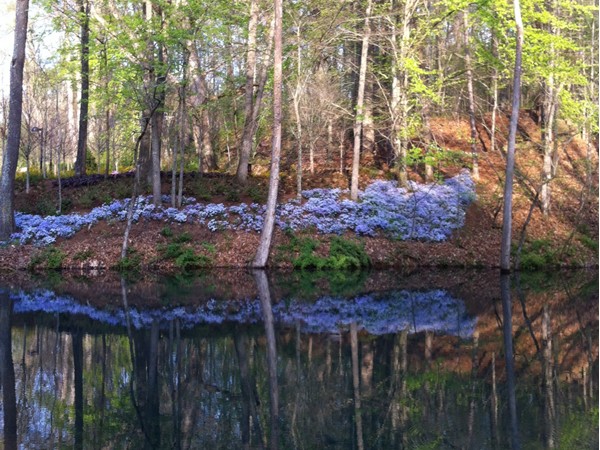 Reflections on the trails at Crystal Bridges Museum