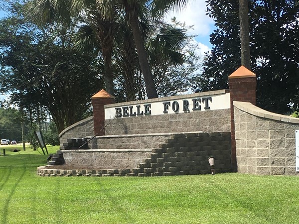Welcome to Belle Foret