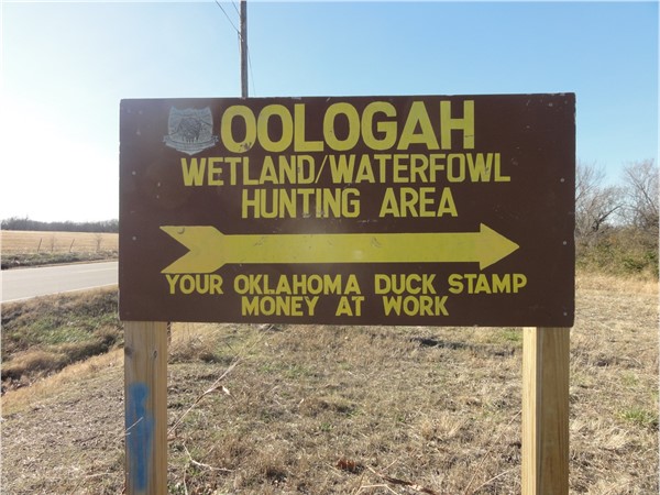 Oologah Wetland and Waterfowl hunting area  