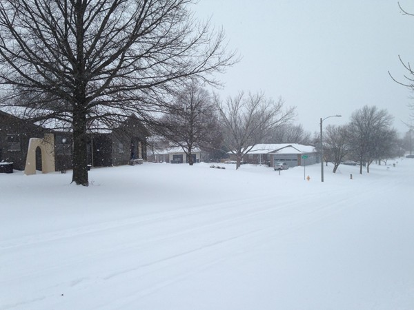 Snow falling in Prairie Meadows neighborhood, Lawrence, KS