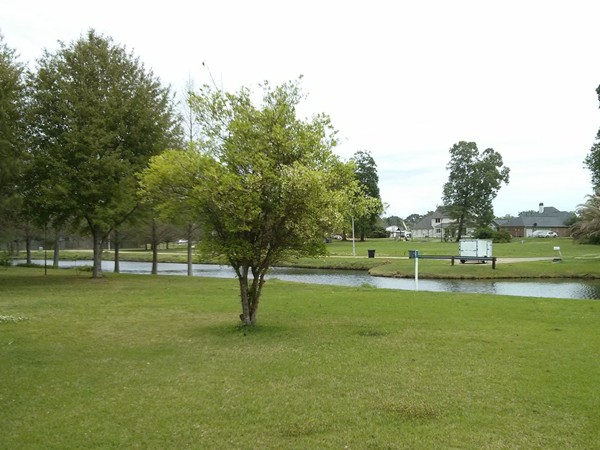 One of several lakes in Briarwood subdivision.