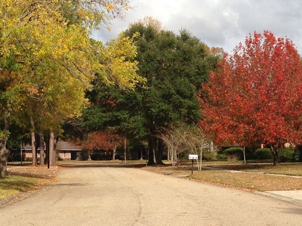 Fall color in Shenandoah Subdivision