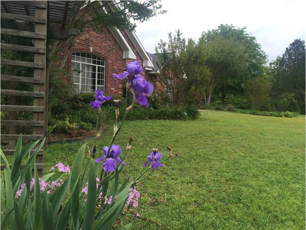 Spring has sprung in serene Twin Lakes Subdivision