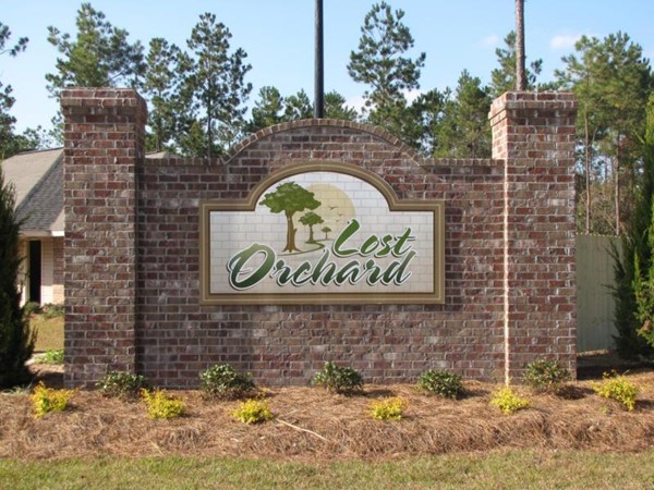 Lost Orchard Subdivision in Purvis