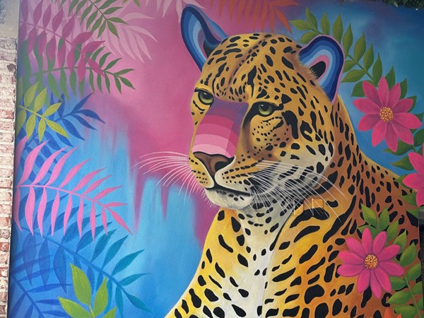 Beautiful hand painted mural in Norman!