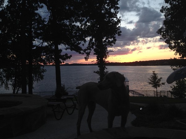 Buffalo Shores South - Where everyone (including the pets) await the awesome sunsets