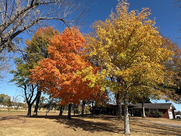 A crisp is in the air as the colors of fall move from hot summer days to cool fall evenings