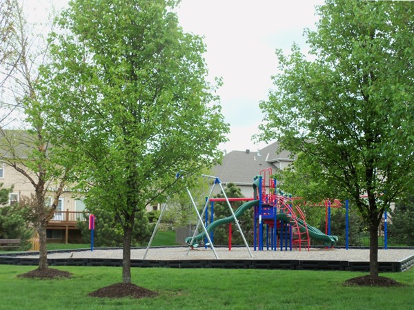 Play area in Willow Ridge