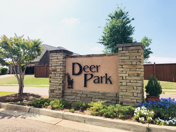 Deer Park Subdivision in Flowood is a great place for families 