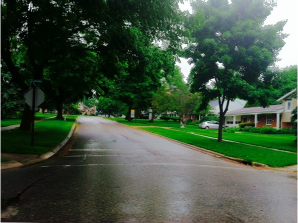 A rainy day in Indian Hill in Grand Blanc, MI.