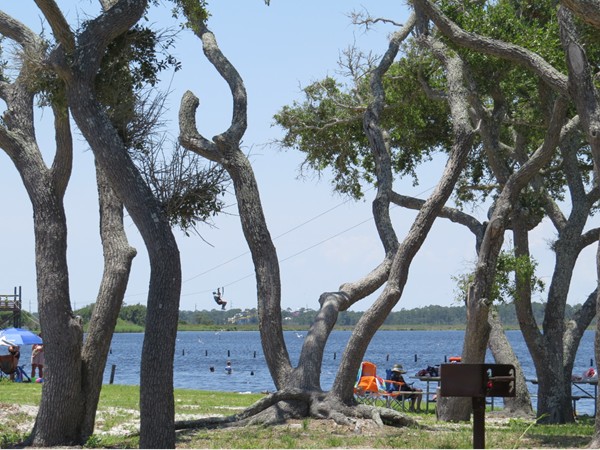 Love to camp, fish, swim, boat - 900 acre Lake Shelby is for you!
