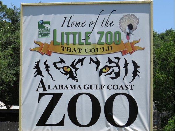 Love to take the grandchildren to the "Little Zoo That Could", you will too!