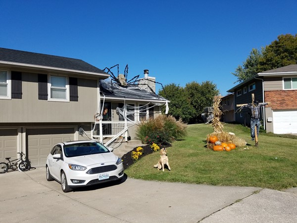 The prize for biggest halloween spider goes to these folks in Westboro