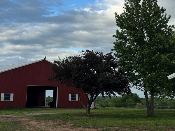 After some much needed rain,finally, blue skies ahead!