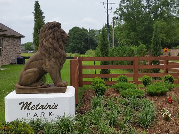 Metairie Park, new south Lafayette development with homes starting near $500,000