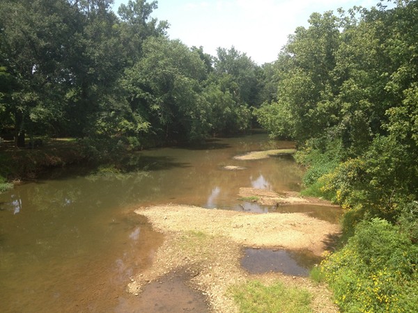 Enjoy fishing or skipping rocks on the riverbank at the Flint River