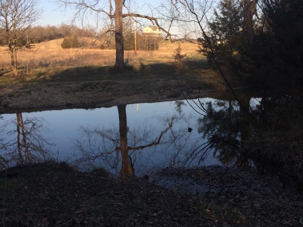 Barnett has breathtaking ponds and farm land