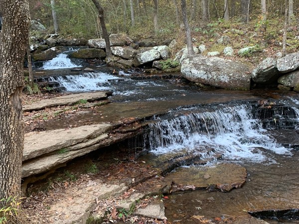 Collins Creek is a gorgeous place to take a hike in Heber Springs