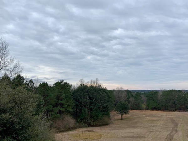 The views from this Poplarville Estate will take your breath away