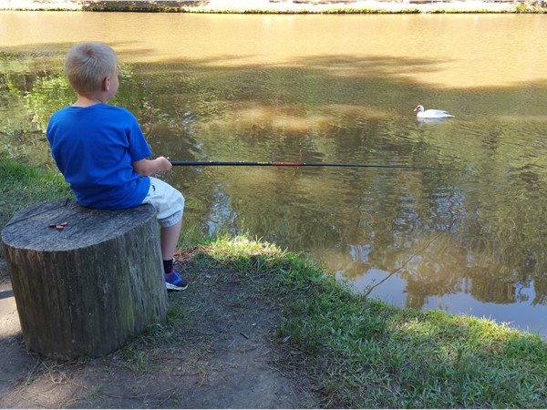Fishing for a large bass with an old wooden pole at the Family Farm in Malvern