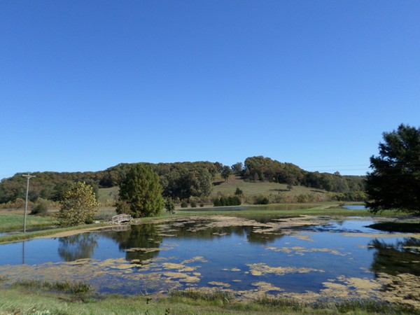 A farm pond near Roach, MO