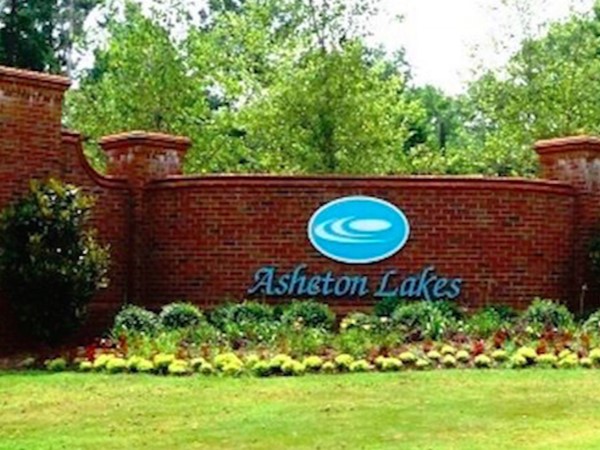 Welcome to Asheton Park