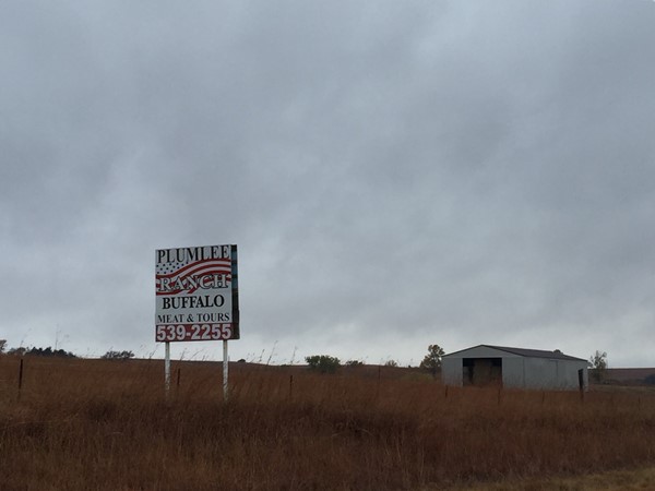 Plumlee  Ranch is a buffalo farm offering meats and tours. Just take the Wamego/Alma exit off I-70