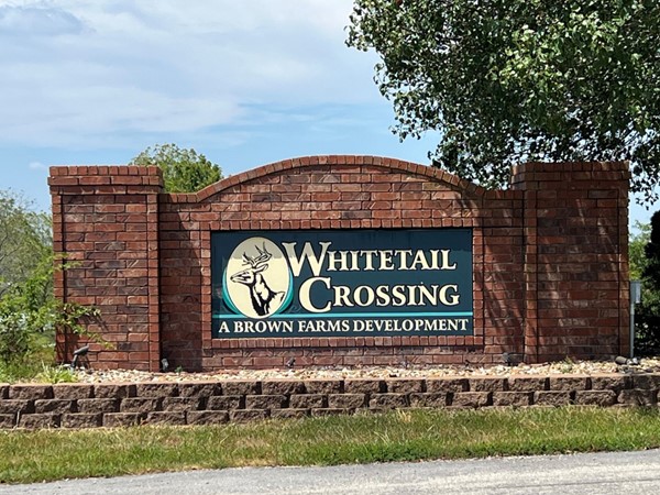 Whitetail Crossing Development off Hwy 160 in Walnut Shade, MO