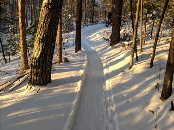 Last glimpse of sunshine snowbiking on the Silver Lead Trail the other day