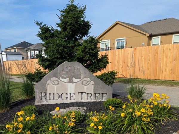 Ridge Tree monument welcome sign