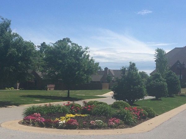 Gorgeous flower beds as you enter Ridgewood subdivision in Cave Springs