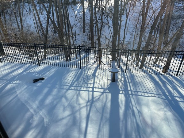 Beautiful and serene snow scene after over a foot of snow!!!
