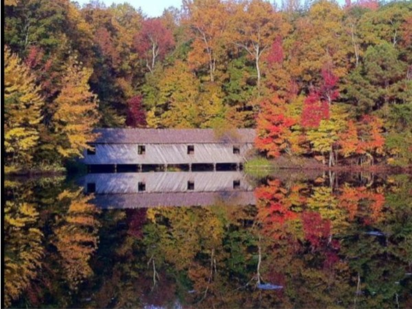 Enjoy the beautiful colors of autumn leaves at Green Mountain Nature Trail 