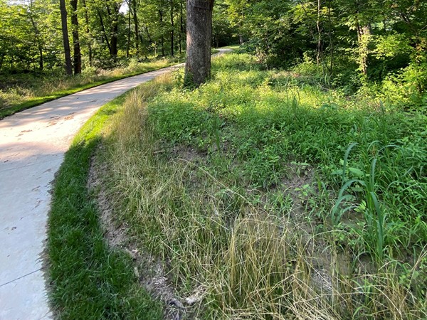 There are some great nature paths close to the Brooktree subdivision that are well kept
