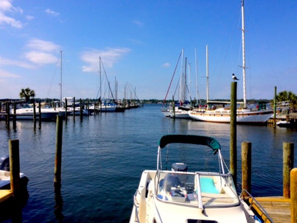 Beautiful day at Bear Point Marina! Come sail away