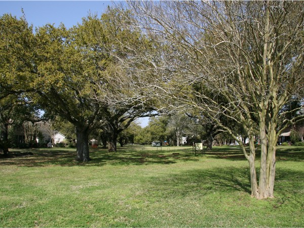 One of many parks in Lake Vista 