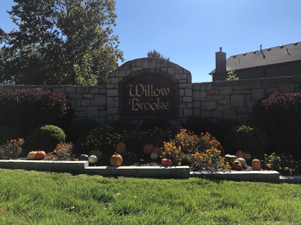 The sun is shining in Willow Brooke today