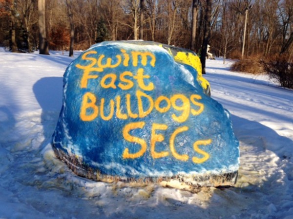 Number 1 state-ranked Division 3 swimmers will rock at Southeast Conference in Dexter