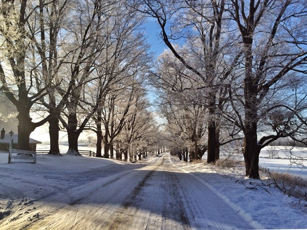 Riker Road is one of Michigan's Natural Beauty Roads