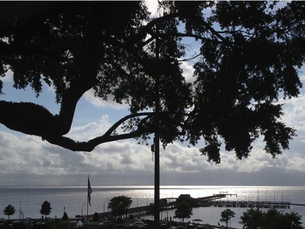 We had only lived here three days when we took my favorite Fairhope picture. Still in love!