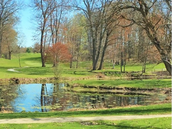 Water trap at Indian Lake Hills Golf Course   