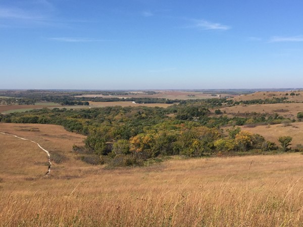 The Konza Prairie Nature Trail offers several hiking paths